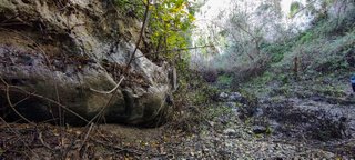 Torrente Porcaria